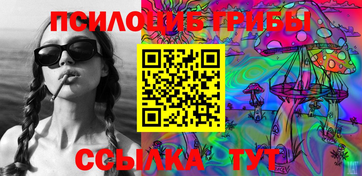 Бор  Псилоцибиновые грибы Psilocybine cubensis  купить  цена  Вход с VPN 