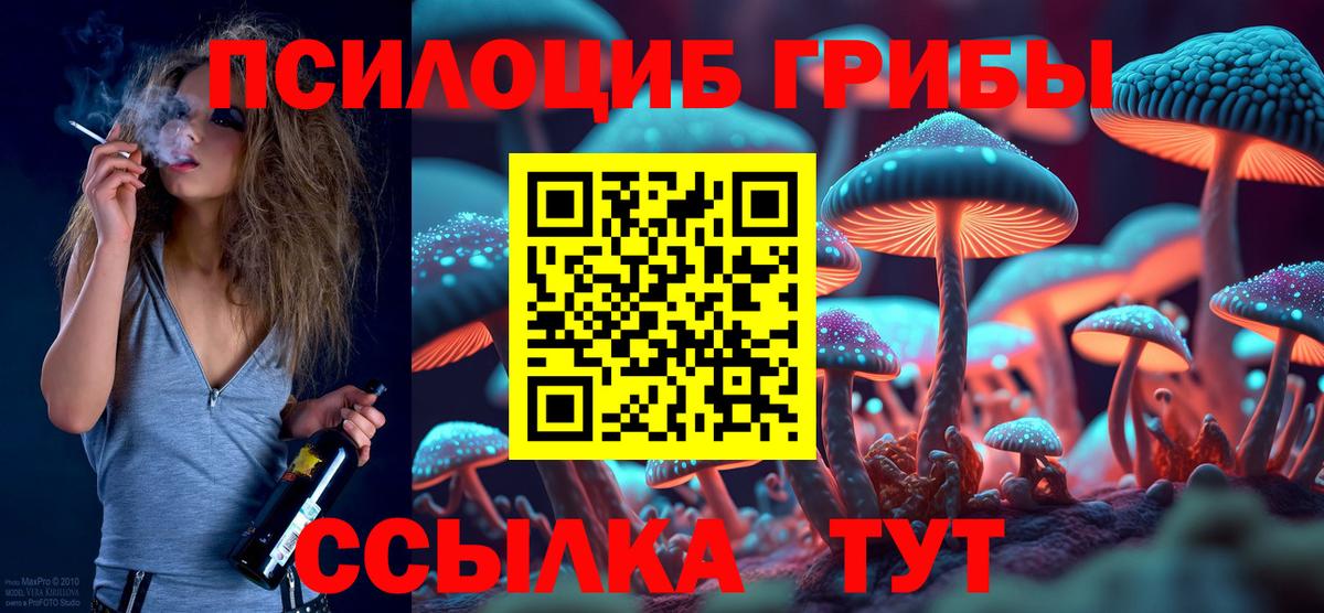 Псилоцибиновые грибы мицелий Бор